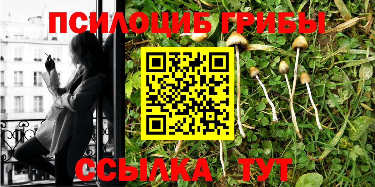 Псилоцибиновые грибы MAGIC MUSHROOMS  Галлюциногенные грибы MAGIC MUSHROOMS  Липецк  Вход с VPN 